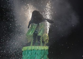 Eco Festival do Peixe-boi de Novo Airão