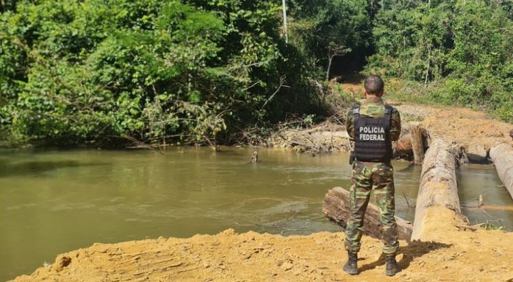 Foto: Polícia Federal
