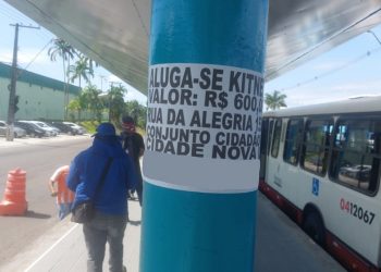 Fotos: Divulgação / IMMU