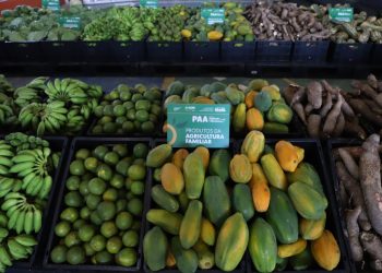 produtos da agricultura familiar FOTOS: Alex Pazuello/Secom e Emerson Martins/Sepror