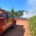 FOTOS: Divulgação/CBMAM