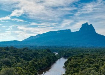 Pico da Neblina em São Gabriel da Cachoeira. Foto: Divulgação