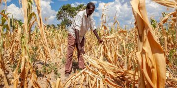 Foto: WFP/Nkole Mwape
