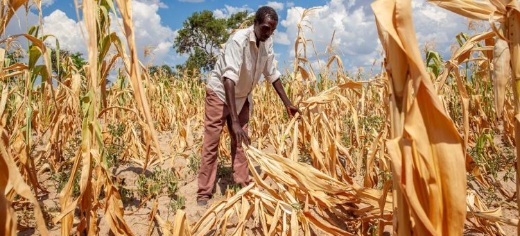 Foto: WFP/Nkole Mwape
