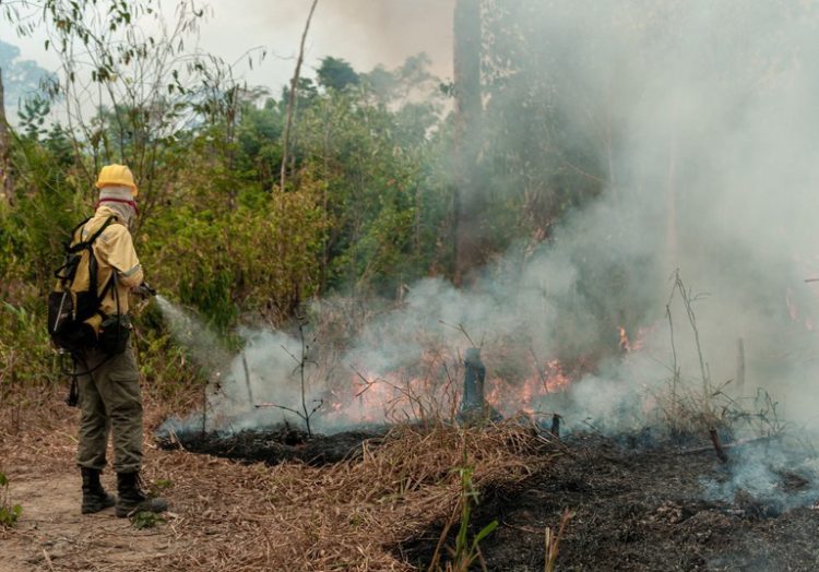 Brigadistas do Prevfogo Ibama participam de operação conjunta para combater incêndios na Amazônia