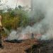 Brigadistas do Prevfogo Ibama participam de operação conjunta para combater incêndios na Amazônia
