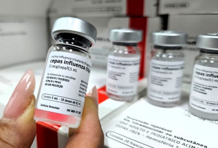 vacinação contra influenza