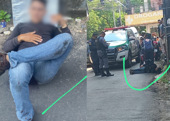 Foto Reprodução/Whatsapp