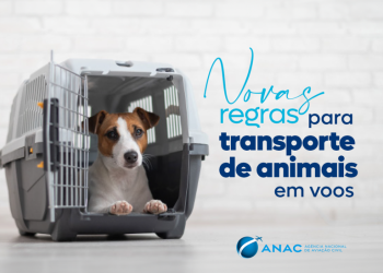 O GT vai atuar para obter informações técnicas dos órgãos competentes, estabelecer ou alterar padrões e elaborar relatório final. Foto: Fábio Rodrigues Pozzebom