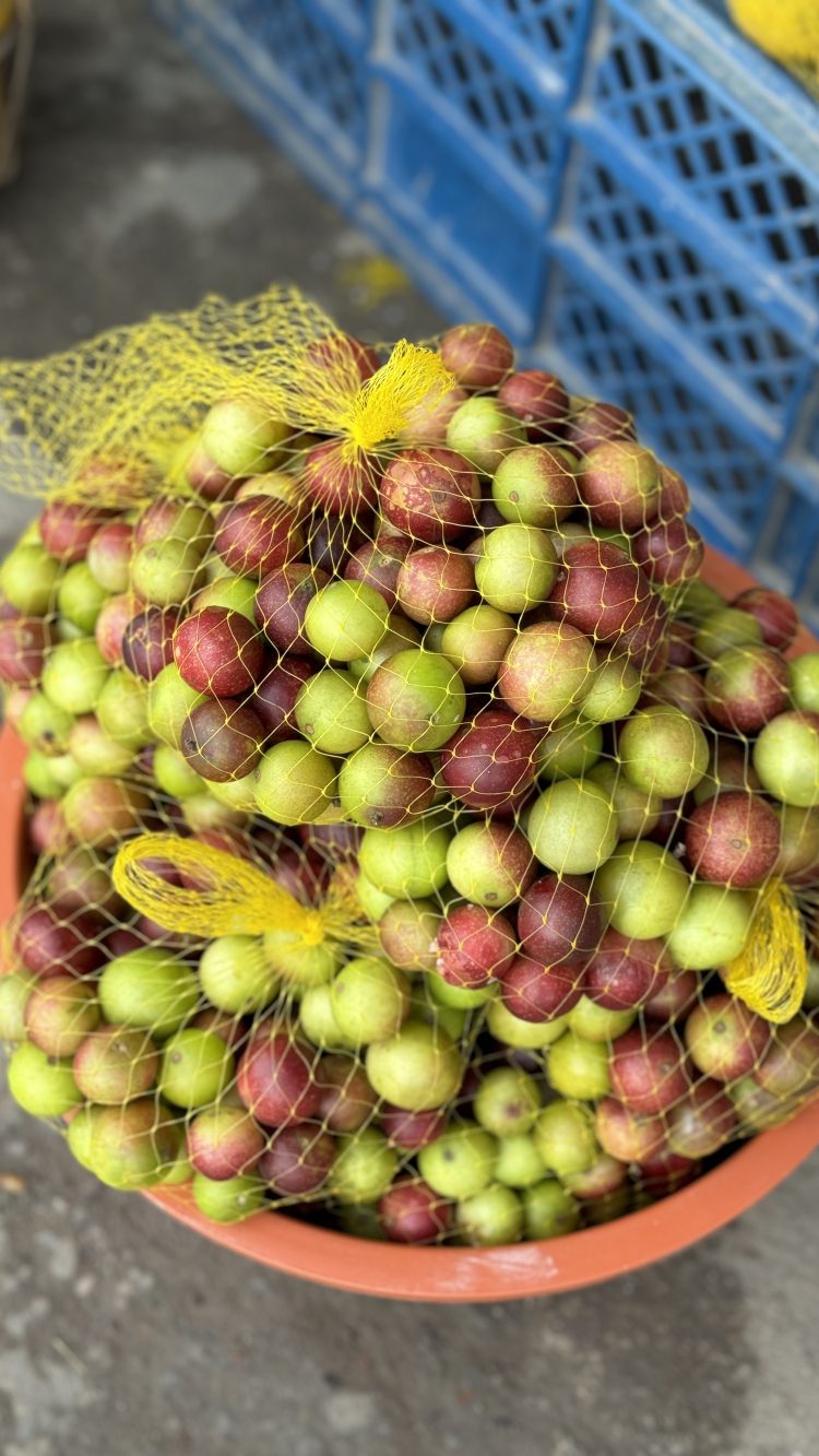Camu-camu: O 'ouro da amazônia' é aposta para a indústria alimentícia