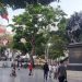 Praça Bolívar em Caracas, Venezuela. Foto: ONU News