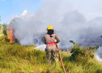 Focos de incêndio. FOTOS: Divulgação/CBMAM