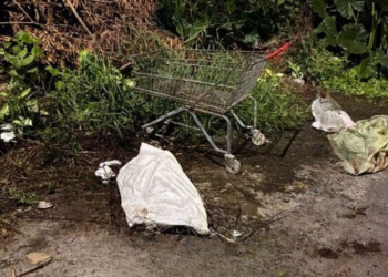 Foto: Reprodução/Whatsapp