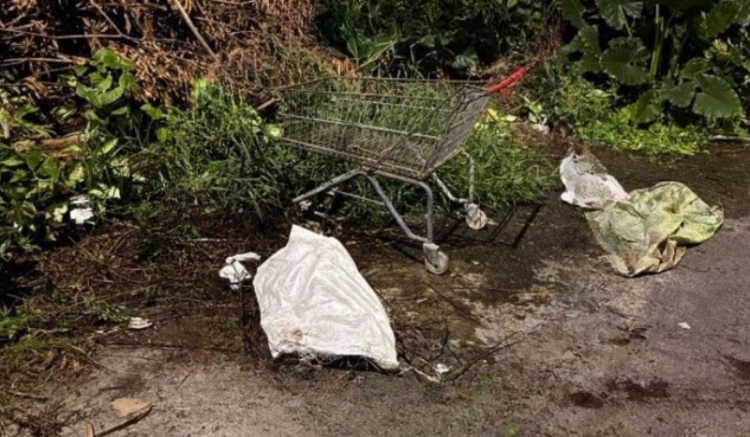 Foto: Reprodução/Whatsapp