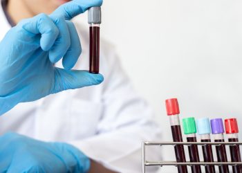 Imagem Ilustrativa. Foto Canva