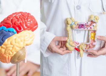 Imagem Ilustrativa. Foto: Reprodução/Canva