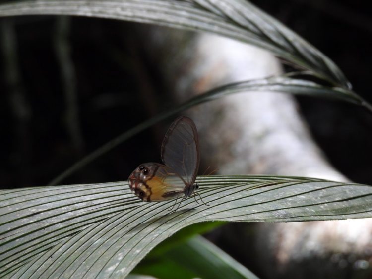 Fotos Isabela Freitas