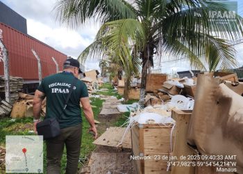 FOTO: Divulgação/Ipaam