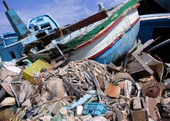 Unicef diz que necessidade de auxílio inclui apoio psicossocial, assistência jurídica, médica e educação . OIM/Peter Schatzer