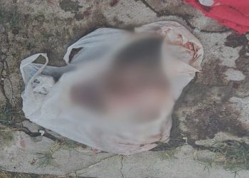 Feto de aproximadamente 40 semanas, encontrado no sábado (04/01). (Foto: Divulgação/PC-AM)