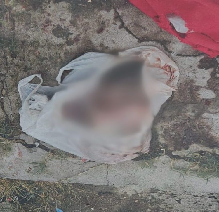 Feto de aproximadamente 40 semanas, encontrado no sábado (04/01). (Foto: Divulgação/PC-AM)