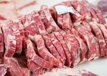 Imagem Ilustrativa. Foto: Reprodução/Canva