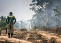 Parte dos recursos é destinada ao Ibama, para fiscalização, combate e controle de incêndios florestais. Foto: Vinícius Mendonça/Ibama