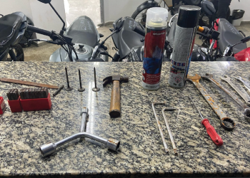 FOTOS: Erlon Rodrigues e Divulgação/PC-AM