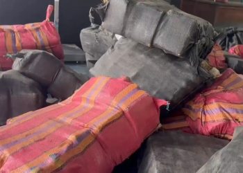 FOTOS : Erlon Rodrigues e Divulgação/PC-AM.