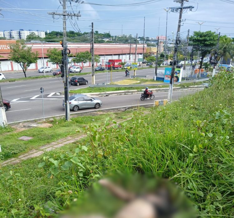 Foto: Divulgação/Whatsapp