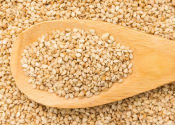 Imagem Ilustrativa. Foto: Canva