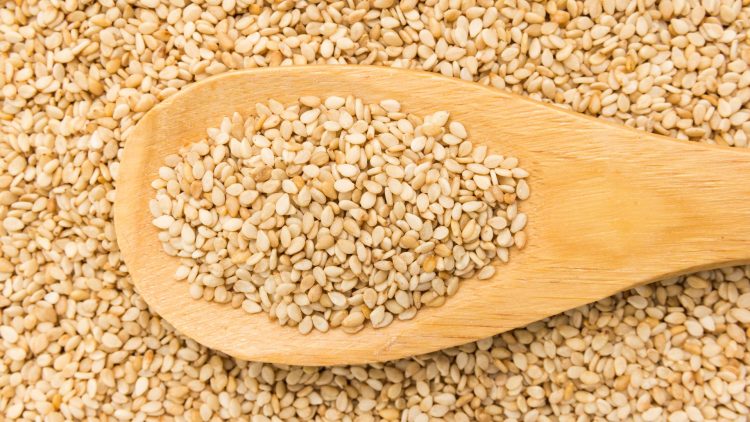 Imagem Ilustrativa. Foto: Canva