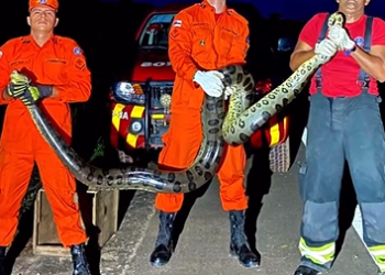 Foto: Reprodução | Instagram Coronel Muniz CBMAM