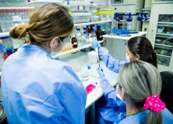 Foto: Divulgação Fapeam