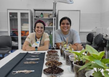 Fotos: Acervo da pesquisadora Denise Garcia