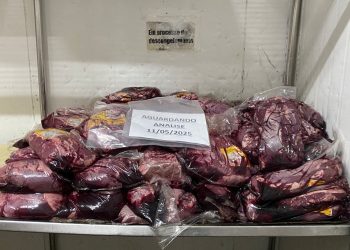 Fotos - Divulgação / Semsa