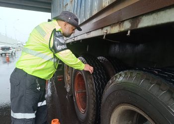 fotos – Divulgação / IMMU