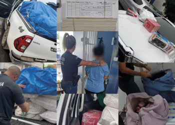 FOTOS: Beatriz Sampaio e Divulgação/PC-AM.