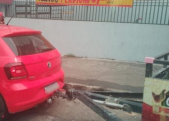 Fotos – Divulgação/IMMU