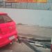 Fotos – Divulgação/IMMU