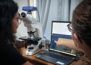 Fotos: arquivo pessoal da pesquisadora Angela Maria da Silva Lehmkuhl