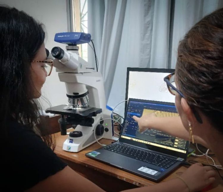 Fotos: arquivo pessoal da pesquisadora Angela Maria da Silva Lehmkuhl