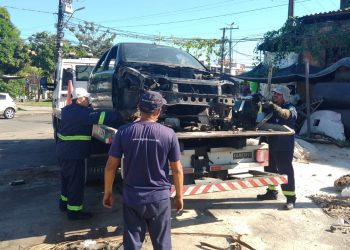 Fotos – Divulgação / IMMU