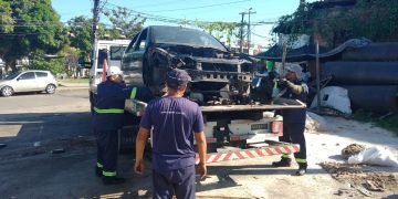 Fotos – Divulgação / IMMU