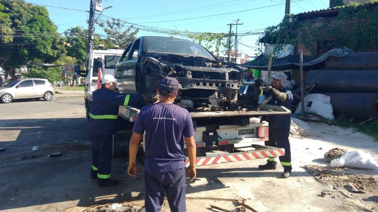 Fotos – Divulgação / IMMU