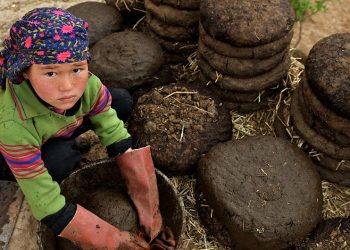 Foto: Unicef/Shehzad Noorani