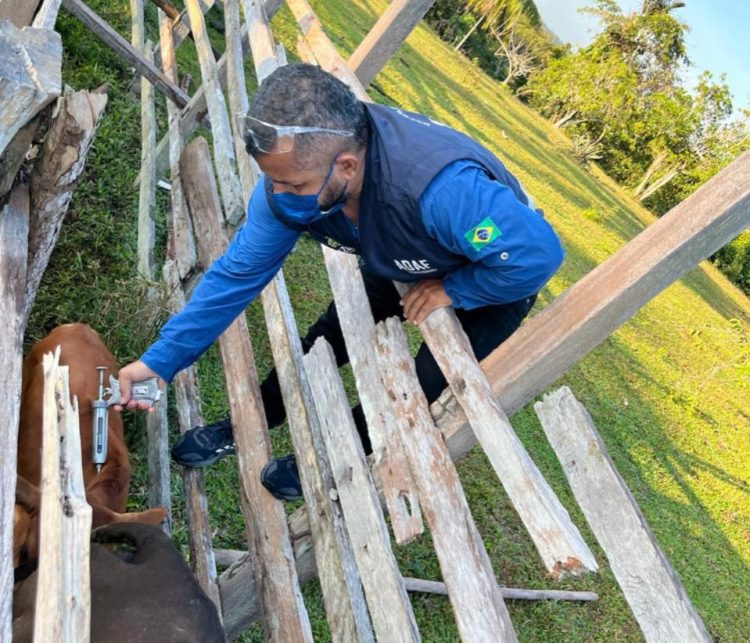 FOTOS: Divulgação/Adaf