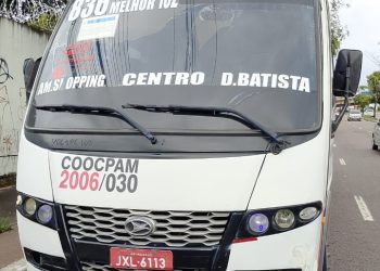 Fotos - Divulgação / IMMU