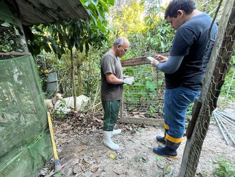 Fotos - Divulgação / Semsa