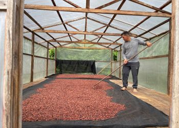 FOTOS: Divulgação /Idam